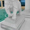 福州 白麻花岗岩动物异形石雕-大象