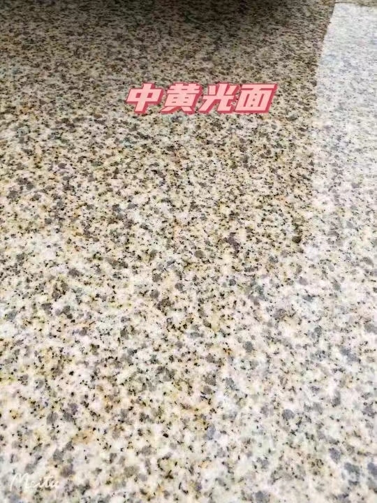 福州黄金麻中黄光面