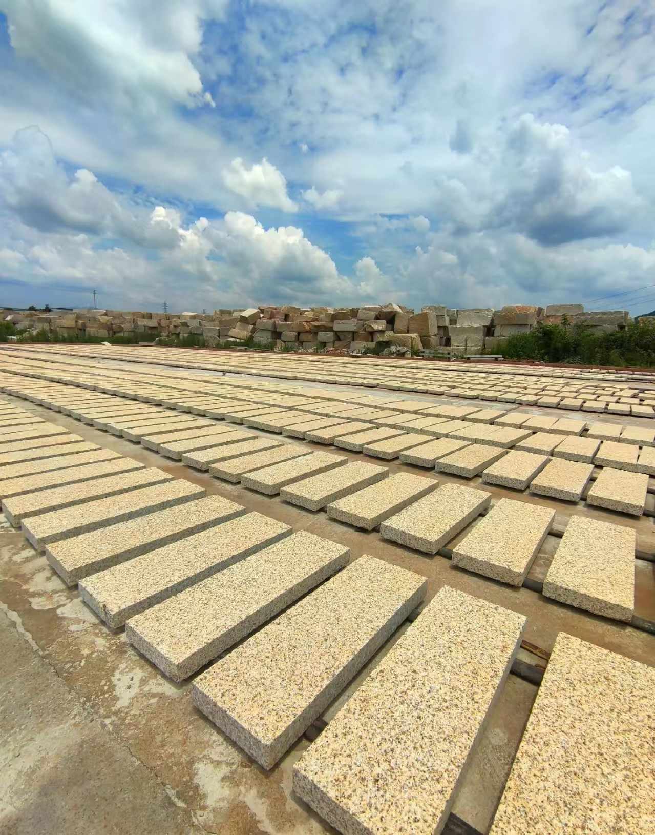 福州 黄金麻荔枝面花岗岩石材地铺石防护中